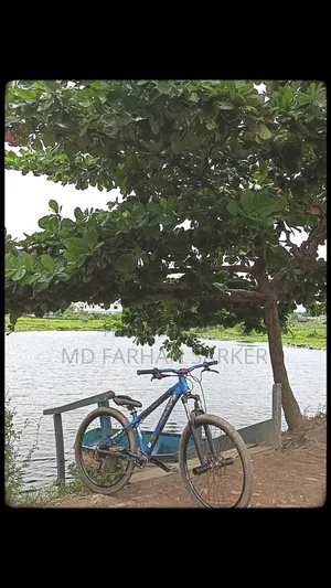 Wiscco 4x Fram Pura New Condition Dag Nai Koto Fata Ba Onno Kichu Nai