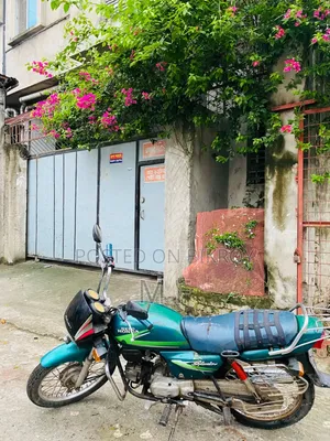 Hero Splendor Plus 2010 Blue