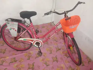 Veloce Seventy One 26 Inchi Pink Cycle Girls
