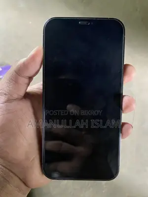 Apple iPhone 12 Pro 128 GB Black