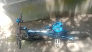 Bicycle Sell