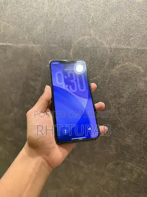 Apple iPhone 11 Pro Max 256 GB Green