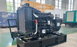 Lambert 300 kVA / 250 kW Diesel Generator — Airmax Engineering