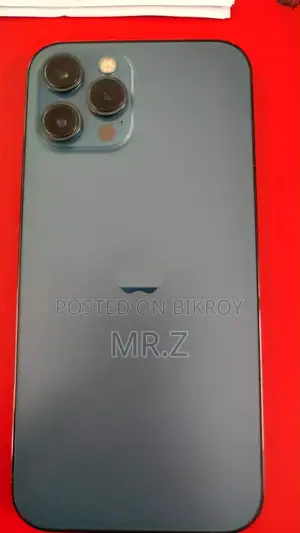 Apple iPhone 12 Pro Max 256 GB Gray
