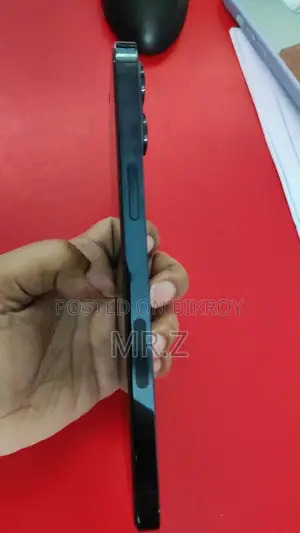 Apple iPhone 12 Pro Max 256 GB Gray