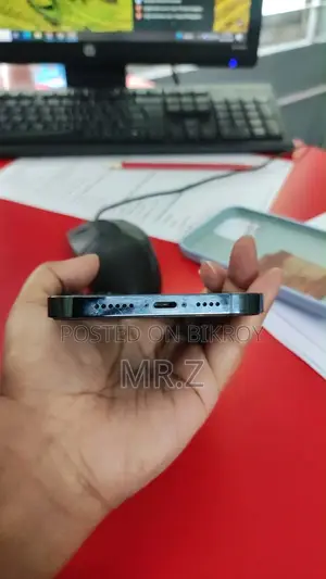 Apple iPhone 12 Pro Max 256 GB Gray
