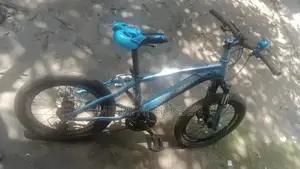 Bicycle Sell