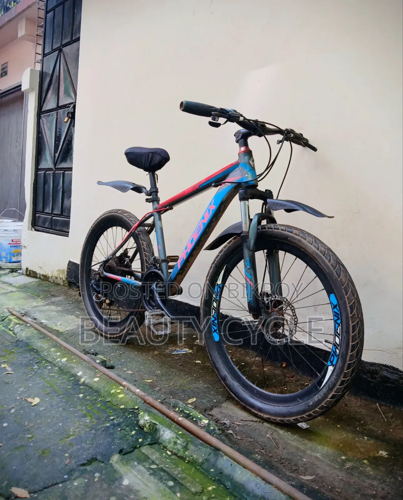 Fresh 24" Cycle. যারা 5 ফুট 4" এর নিচে, এইটা তাদের জন্য।