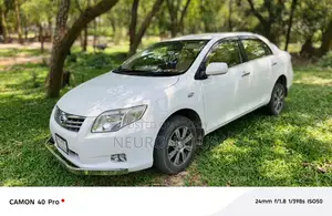 Toyota Axio 2011 White