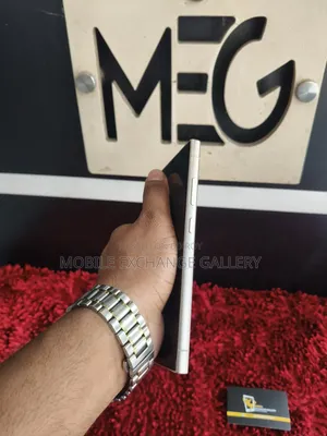 Samsung Galaxy S24 Ultra 256 GB Gray