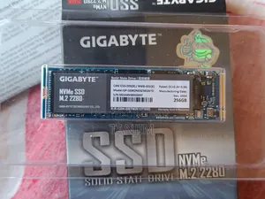 Gigabyte 256gb M.2 Nvme SSD