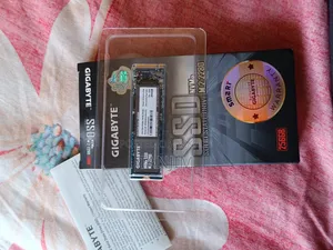 Gigabyte 256gb M.2 Nvme SSD