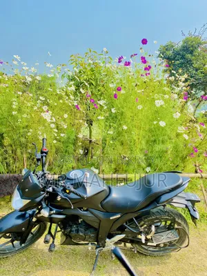 Suzuki Gixxer 2024