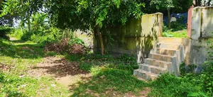 ৫ কাঠা প্লট  রাজউক পূর্বাচল
