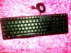 Rapoo Wired Keyboard