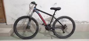 Phoenix Non Gear Cycle