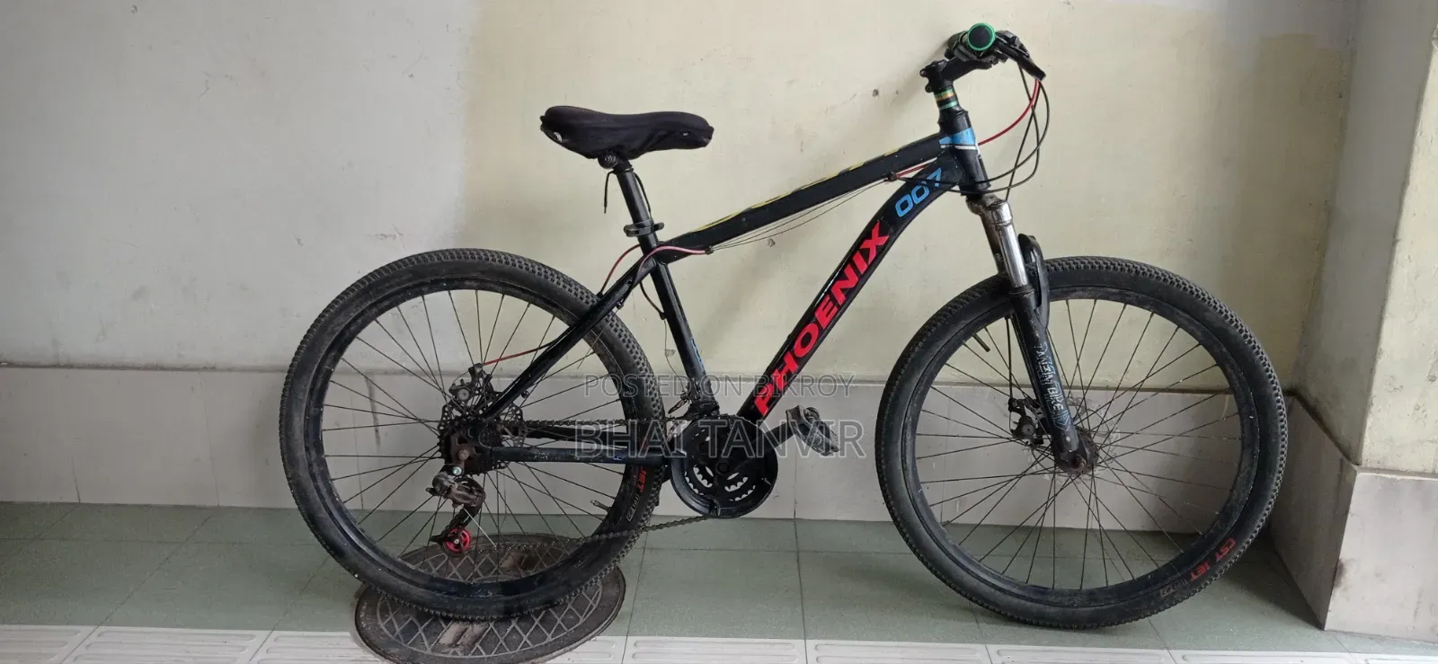 Phoenix Non Gear Cycle