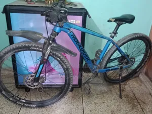 Rock Rider Cycle
