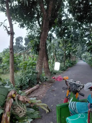 🏡 জরুরি ভিত্তিতে জমি বিক্রি হবে 🏡