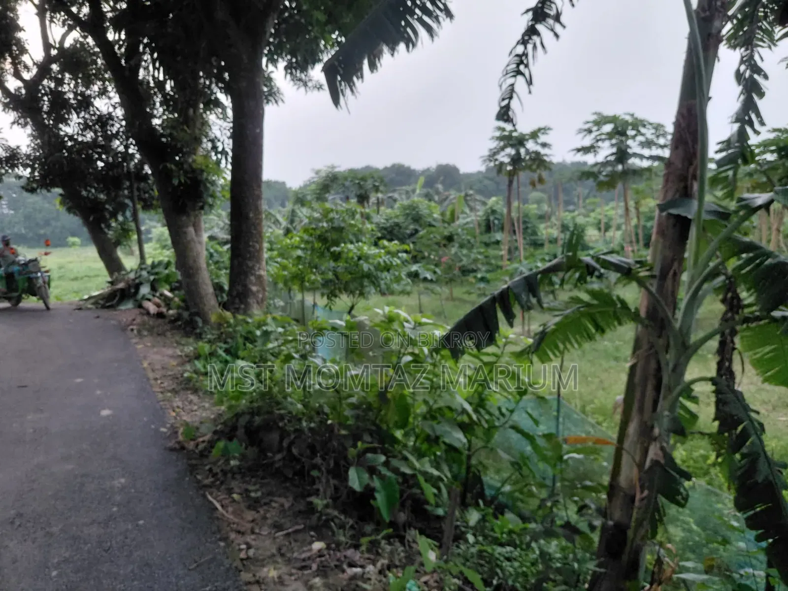 🏡 জরুরি ভিত্তিতে জমি বিক্রি হবে 🏡