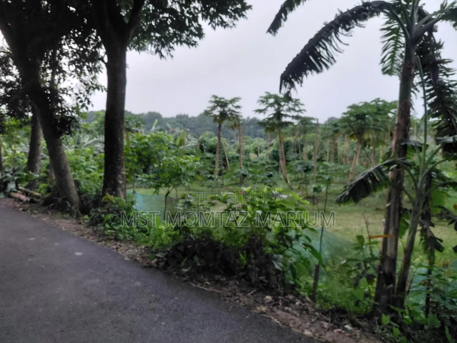 🏡 জরুরি ভিত্তিতে জমি বিক্রি হবে 🏡