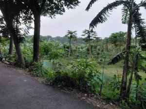 🏡 জরুরি ভিত্তিতে জমি বিক্রি হবে 🏡