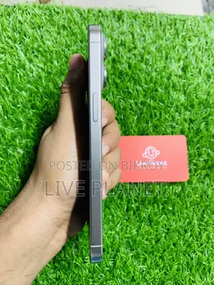 Apple iPhone 15 Pro Max 256 GB Gray
