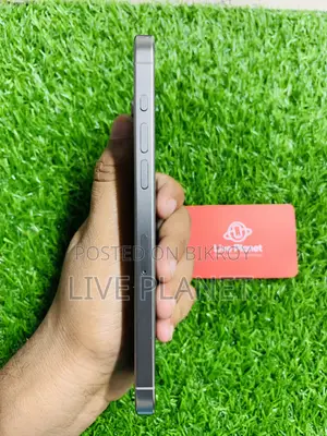 Apple iPhone 15 Pro Max 256 GB Gray