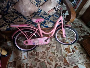 Phonix Cycle for Sell