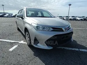 Toyota Axio 2021 Silver
