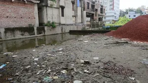 Land Share Plot Sale at Feni Sadar