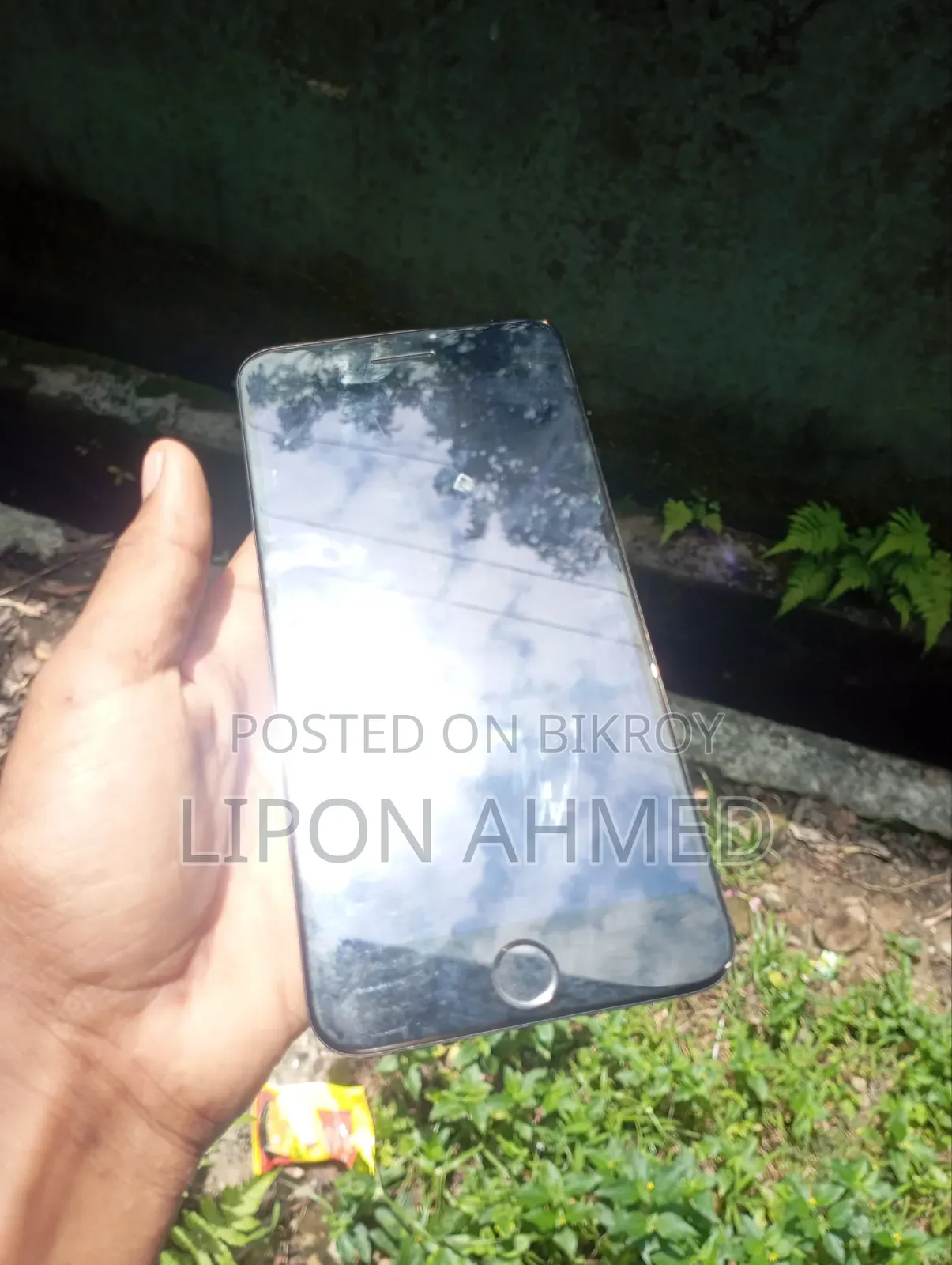 iPhone 8+ Display