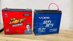 ইউপিএস ১২০০ভিএ ডাবল ব্যাটারি। ২৪ ভোল্ট