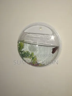 Fighter Fish