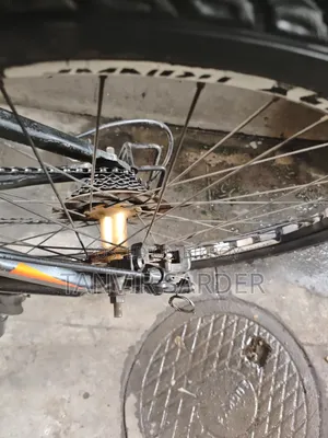 TRINWF Cycle