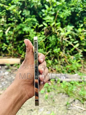 অ্যাপল আইফোন ১৩ প্রো ২৫৬ জিবি গোল্ড