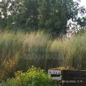 Land for Sale @ Basundhara R/a 10 Katha South Face