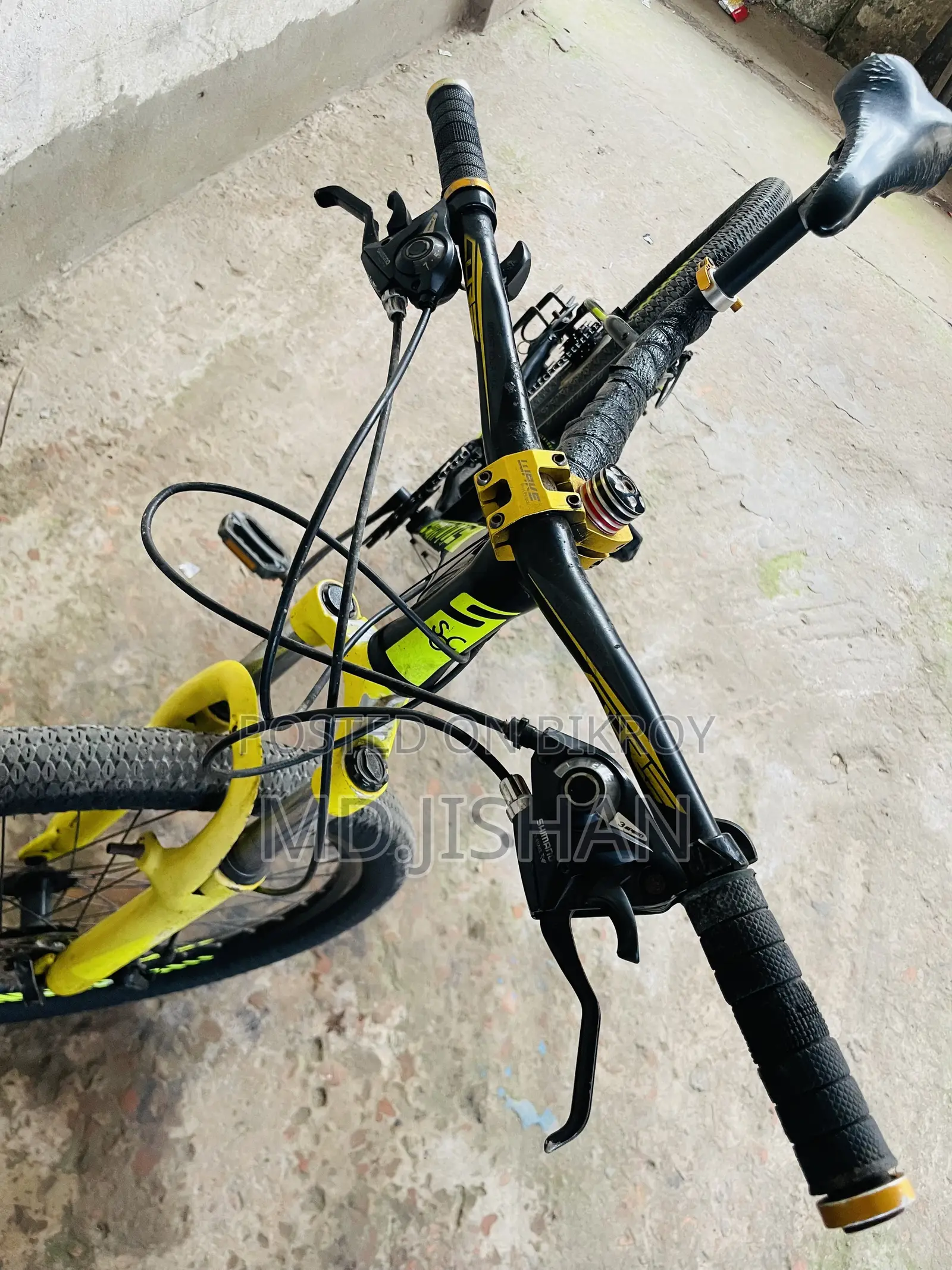 Serious Cycle