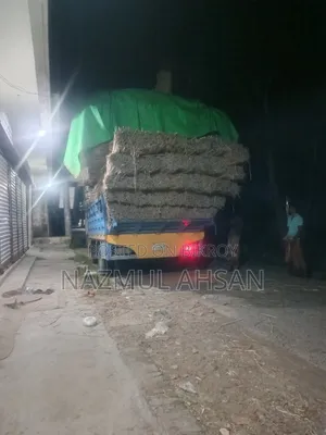 মডেল টাটা 407