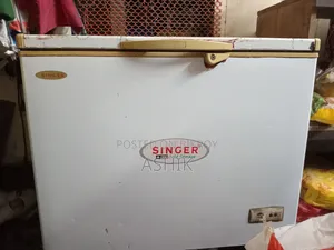 Singer Frige