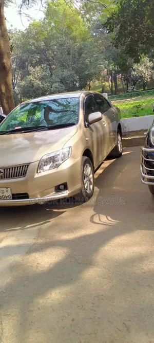 Toyota Axio 2007 Beige