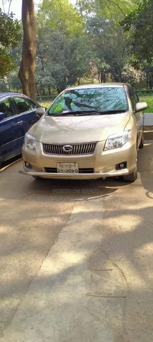 Toyota Axio 2007 Beige