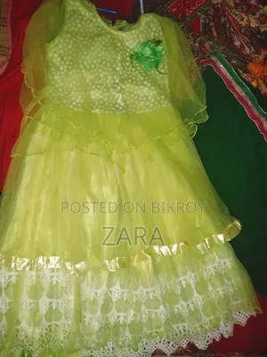 নেট পার্টি ফ্রক