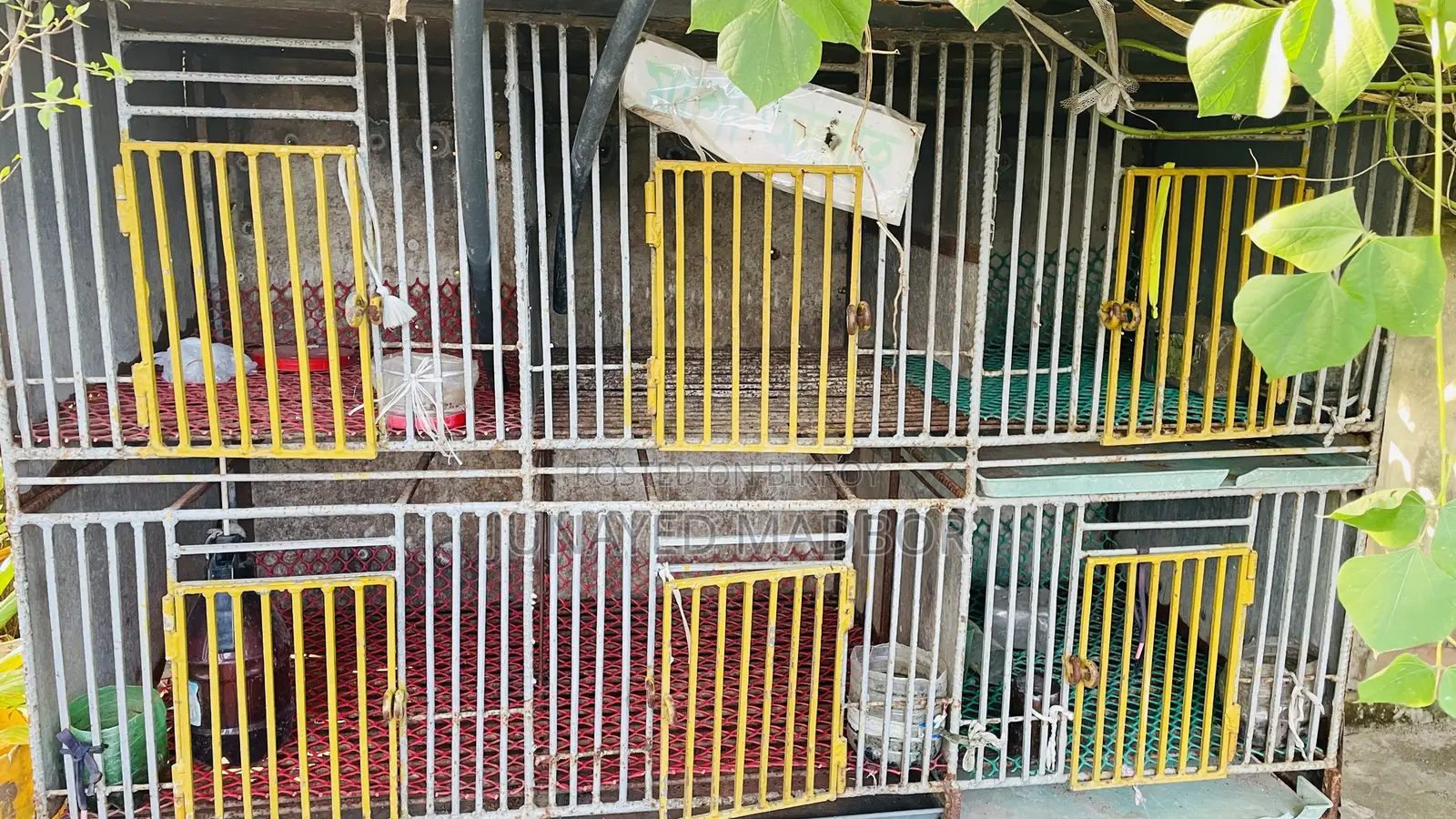 ৬ খোপের বড় খাঁচা