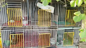 ৬ খোপের বড় খাঁচা