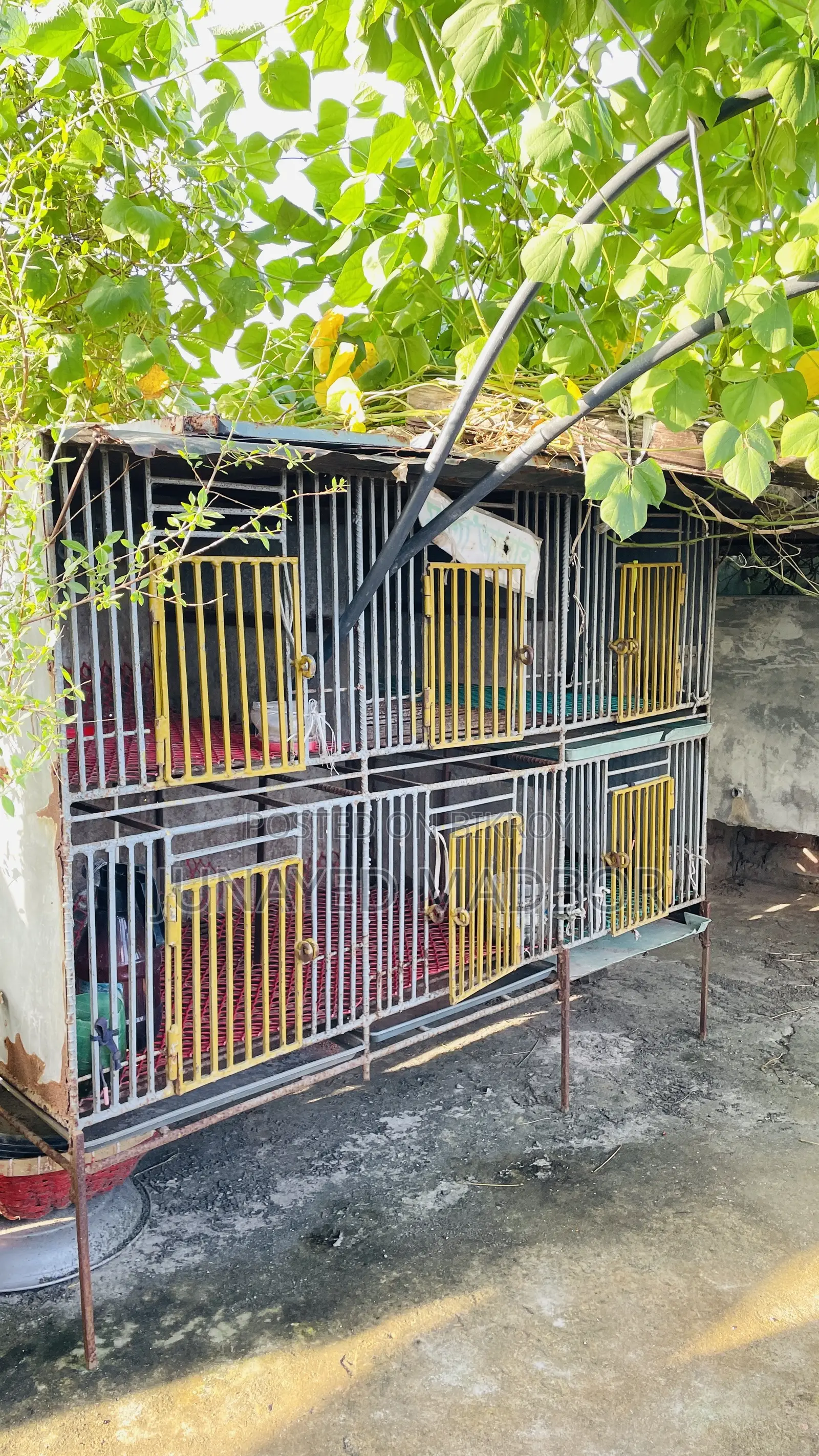 ৬ খোপের বড় খাঁচা