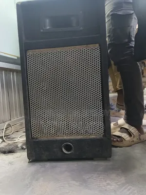১২ ইঞ্চি স্পিকার
