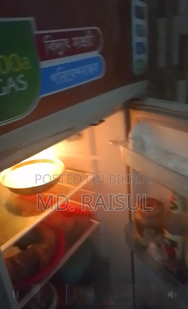 Singer Fridge