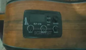 Deviser LS-570-eq Guitar for Sale.(Almost New)