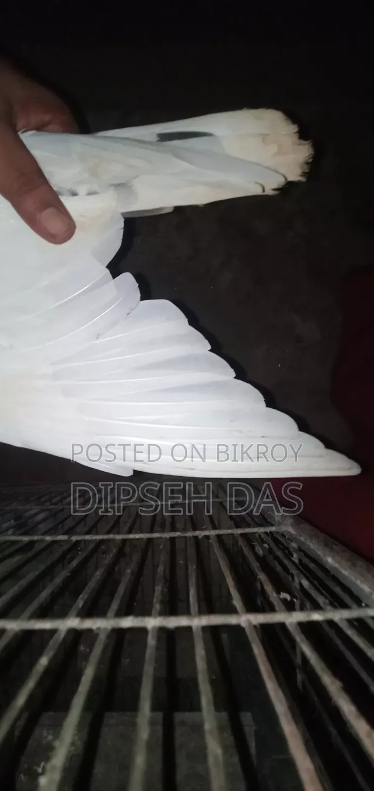 বিদ্যুৎ জাতের একটা মায়া চোখ হলুদ